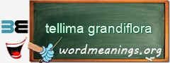 WordMeaning blackboard for tellima grandiflora